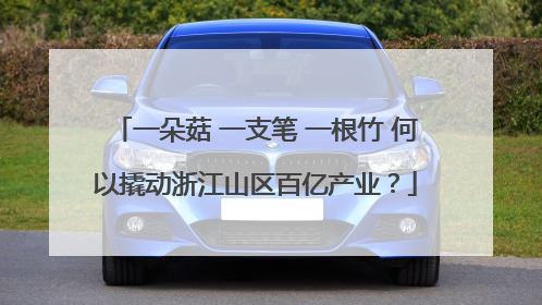 一朵菇 一支笔 一根竹 何以撬动浙江山区百亿产业？