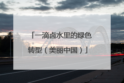 一滴卤水里的绿色转型（美丽中国）