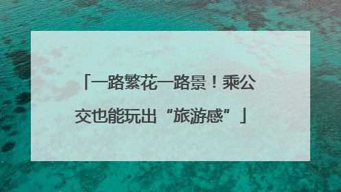 一路繁花一路景！乘公交也能玩出“旅游感”