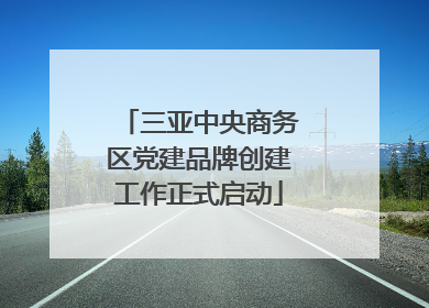 三亚中央商务区党建品牌创建工作正式启动