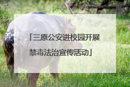 三原公安进校园开展禁毒法治宣传活动