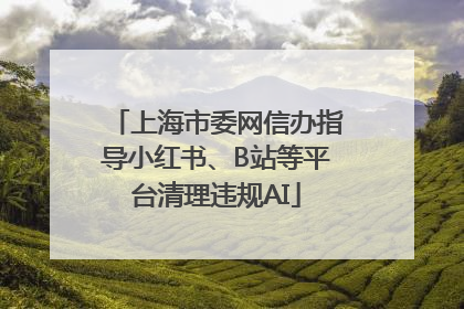 上海市委网信办指导小红书、B站等平台清理违规AI