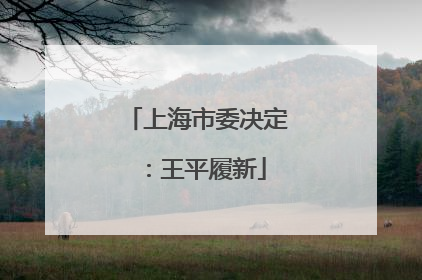 上海市委决定：王平履新