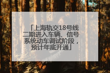 上海轨交18号线二期进入车辆、信号系统动车调试阶段，预计年底开通