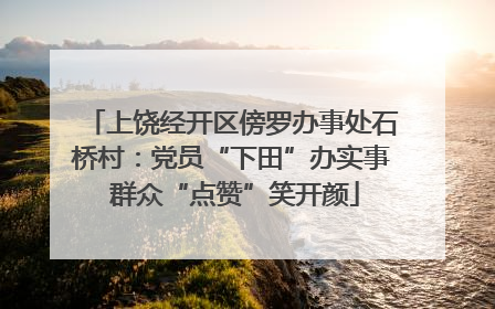 上饶经开区傍罗办事处石桥村：党员“下田”办实事 群众“点赞”笑开颜