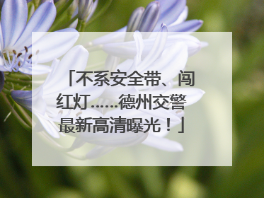 不系安全带、闯红灯……德州交警最新高清曝光！