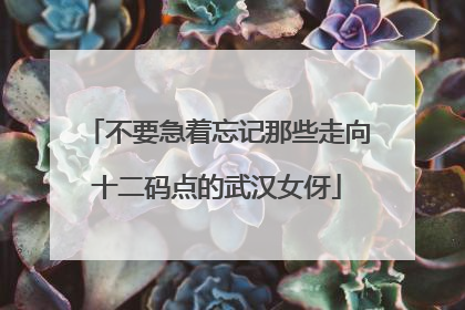 不要急着忘记那些走向十二码点的武汉女伢