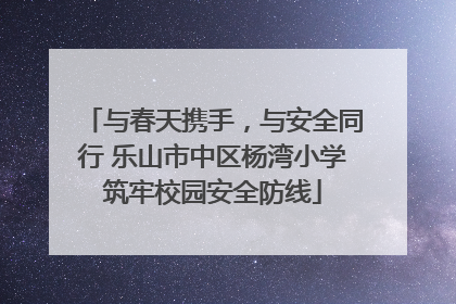 与春天携手，与安全同行 乐山市中区杨湾小学筑牢校园安全防线