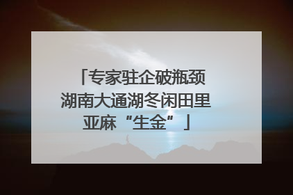 专家驻企破瓶颈 湖南大通湖冬闲田里亚麻“生金”