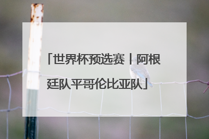 世界杯预选赛丨阿根廷队平哥伦比亚队