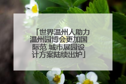 世界温州人助力温州园博会更加国际范 城市展园设计方案陆续出炉