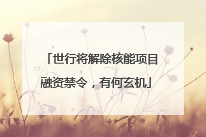 世行将解除核能项目融资禁令，有何玄机