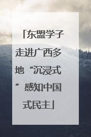 东盟学子走进广西多地“沉浸式”感知中国式民主