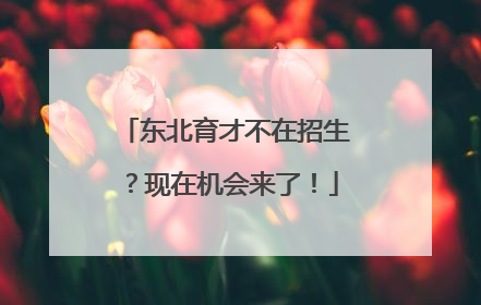 东北育才不在招生？现在机会来了！