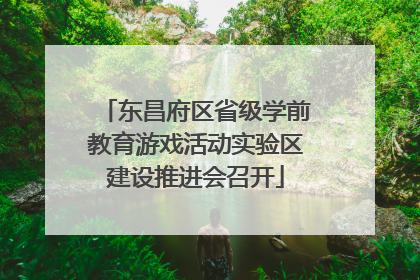 东昌府区省级学前教育游戏活动实验区建设推进会召开