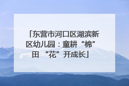 东营市河口区湖滨新区幼儿园：童耕“棉”田 “花”开成长