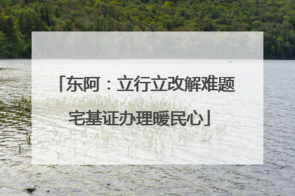 东阿：立行立改解难题 宅基证办理暖民心