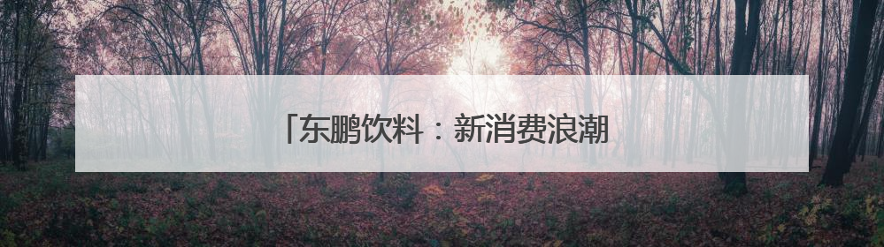 东鹏饮料：新消费浪潮下的民族品牌突围之路