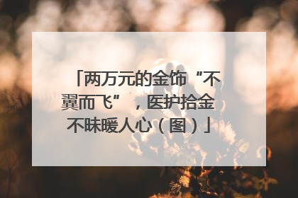 两万元的金饰“不翼而飞”，医护拾金不昧暖人心（图）