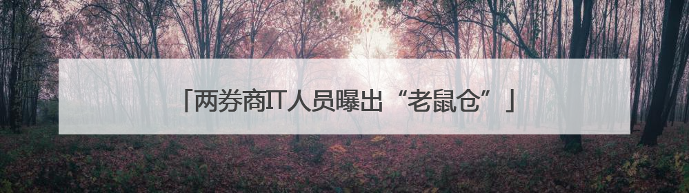 两券商IT人员曝出“老鼠仓”