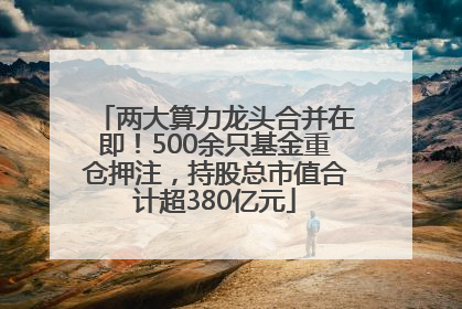 两大算力龙头合并在即！500余只基金重仓押注，持股总市值合计超380亿元