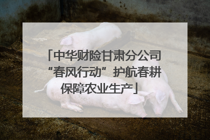 中华财险甘肃分公司“春风行动”护航春耕 保障农业生产