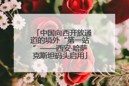 中国向西开放通道的境外“第一站”——西安·哈萨克斯坦码头启用