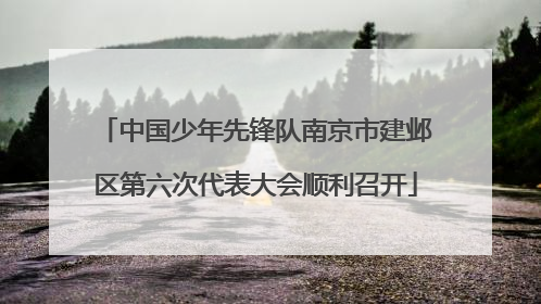中国少年先锋队南京市建邺区第六次代表大会顺利召开