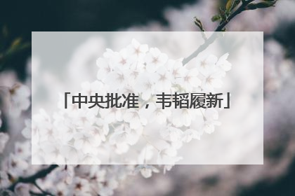 中央批准，韦韬履新