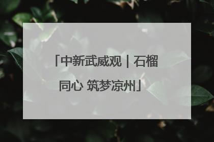 中新武威观｜石榴同心 筑梦凉州