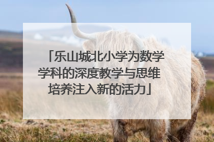 乐山城北小学为数学学科的深度教学与思维培养注入新的活力