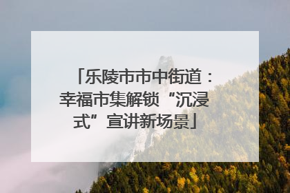 乐陵市市中街道：幸福市集解锁“沉浸式”宣讲新场景