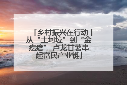 乡村振兴在行动丨从“土坷垃”到“金疙瘩” 卢龙甘薯串起富民产业链