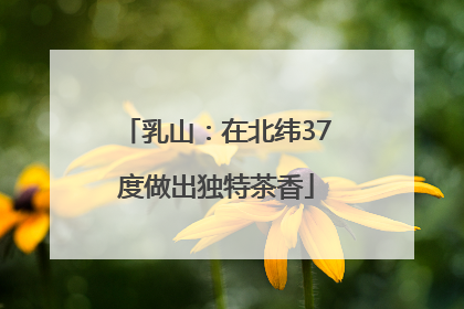 乳山：在北纬37度做出独特茶香