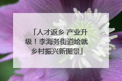 人才返乡 产业升级！李海务街道绘就乡村振兴新图景