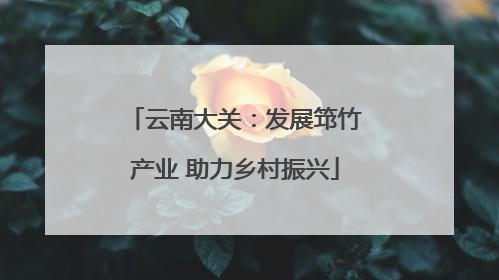 云南大关：发展筇竹产业 助力乡村振兴