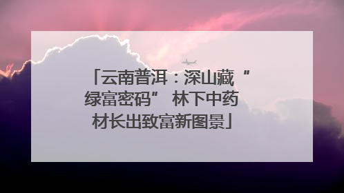 云南普洱：深山藏“绿富密码” 林下中药材长出致富新图景