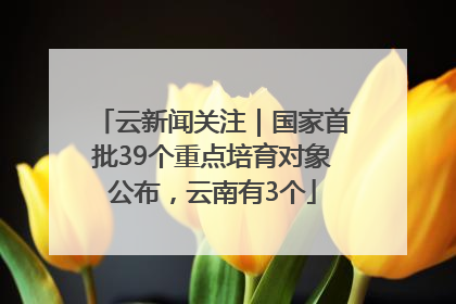 云新闻关注｜国家首批39个重点培育对象公布，云南有3个
