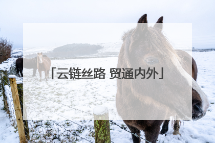 云链丝路 贸通内外