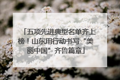 五项先进典型名单齐上榜！山东用行动书写“美丽中国”齐鲁篇章