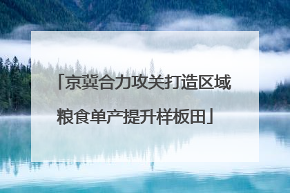 京冀合力攻关打造区域粮食单产提升样板田