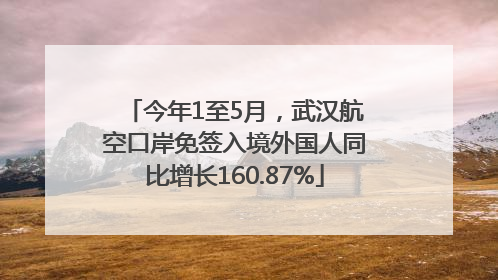 今年1至5月，武汉航空口岸免签入境外国人同比增长160.87%