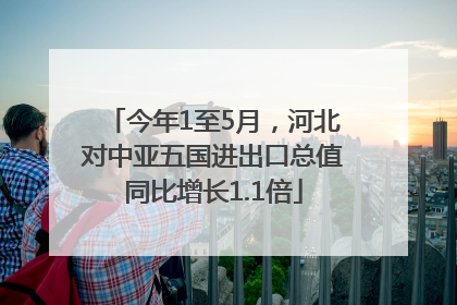 今年1至5月，河北对中亚五国进出口总值同比增长1.1倍