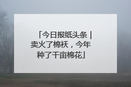 今日报纸头条｜卖火了棉袄，今年种了千亩棉花