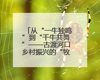 从“一牛独鸣”到“千牛共舞”——古渡河口乡村振兴的“牧场答卷”
