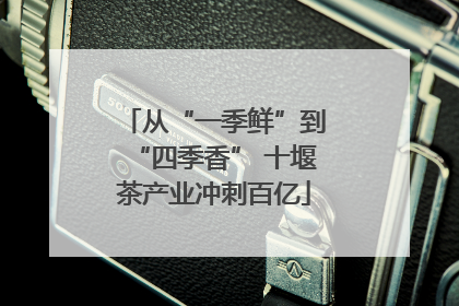从“一季鲜”到“四季香” 十堰茶产业冲刺百亿