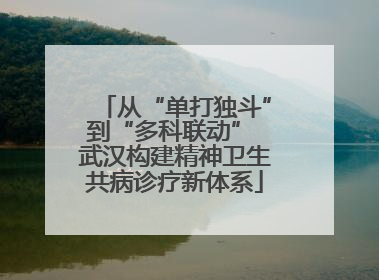 从“单打独斗”到“多科联动” 武汉构建精神卫生共病诊疗新体系
