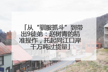 从“驯服抓斗”到带出9徒弟：赵树青的精准操作，托起同江口岸千万吨过货量