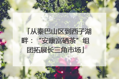 从秦巴山区到西子湖畔：“安康富硒茶”组团拓展长三角市场