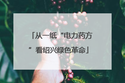 从一纸“电力药方”看绍兴绿色革命